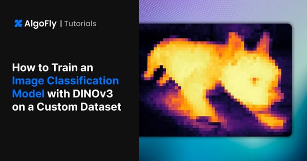 How to Train an Image Classification Model with DINOv3 on a Custom Dataset